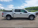 Ford F-150 Xlt 1FTEW1EPXKFD43611 снимка