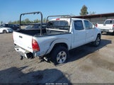 TOYOTA TACOMA BASE V6 3TMLU42N28M019658 снимка