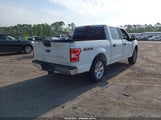FORD F-150 XLT 1FTEW1E44LFB16292 снимка