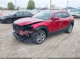 MAZDA CX-30 2.5 S PREMIUM 3MVDMBDM3PM511402 снимка