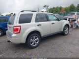 FORD ESCAPE XLT 1FMCU03198KD67786 fotografie