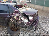 HYUNDAI ELANTRA GLS/SE KMHDU46D78U509431 photo