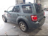 FORD ESCAPE XLT 1FMCU9DG2CKB33926 fotografie