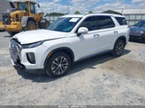HYUNDAI PALISADE SEL KM8R24HEXMU322860 снимка
