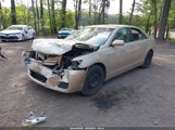 TOYOTA CAMRY LE 4T4BF3EKXAR020495 снимка