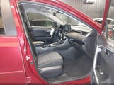 TOYOTA RAV4 XLE 2T3P1RFV0LW113062 fotografie