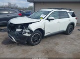 NISSAN PATHFINDER ROCK CREEK 4WD 5N1DR3BD7PC272056 fotografie