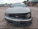 Ford Mustang V6/V6 Premium 1ZVBP8AN8A5124161 photo