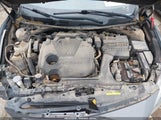 NISSAN MAXIMA 3.5 PLATINUM 1N4AA6AP4HC375759 снимка