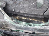 HYUNDAI SONATA LIMITED 5NPE34AF1FH037710 снимка
