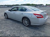 NISSAN MAXIMA 3.5 SV 1N4AA51E39C822835 снимка