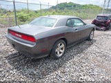 DODGE CHALLENGER SXT PLUS 2C3CDYAG4DH742077 fotografie
