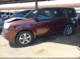 HONDA PILOT EX-L 5FNYF4H58CB070988 fotografie