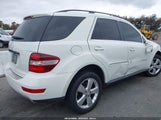MERCEDES-BENZ ML 350 4JGBB5GB8BA710134 снимка