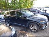 HYUNDAI TUCSON SEL 5NMJBCAE1NH083973 снимка