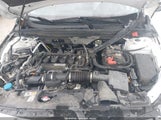HONDA ACCORD LX 1HGCV1F19LA130492 photo