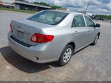 TOYOTA COROLLA 2T1BU4EE3AC235685 снимка