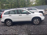 HONDA CR-V LX 5J6RE4H38AL076509 fotografie