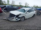 HYUNDAI SONATA GLS 5NPEB4AC8DH587136 снимка