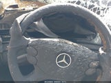 MERCEDES-BENZ E 320 BLUETEC WDBUF22X17B096790 снимка