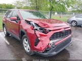Toyota Rav4 Xle JTMP1RFV5KD042503 fotografie