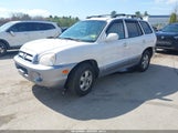 HYUNDAI SANTA FE GLS KM8SC13D95U934500 снимка