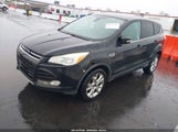 FORD ESCAPE SEL 1FMCU0HX2DUC47646 fotografie