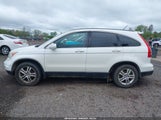 HONDA CR-V EX-L 5J6RE4H75BL004283 снимка