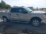 Ford F-150 Fx2 Sport/Harley-Davidson/King Ranch/Lariat/Platinum/Xl/Xlt 1FTFW1CV6AFB47184 photo