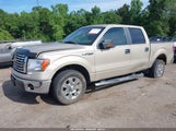 Ford F-150 Fx2 Sport/Harley-Davidson/King Ranch/Lariat/Platinum/Xl/Xlt 1FTFW1CV6AFB47184 photo