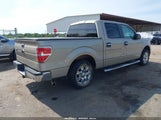 Ford F-150 Fx2 Sport/Harley-Davidson/King Ranch/Lariat/Platinum/Xl/Xlt 1FTFW1CV6AFB47184 photo