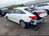 HYUNDAI SONATA 5NPE24AF4HH527886 снимка