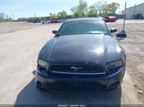 FORD MUSTANG V6 1ZVBP8AMXE5299251 снимка