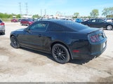FORD MUSTANG V6 1ZVBP8AMXE5299251 снимка