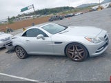 MERCEDES-BENZ SLK 300 WDDPK3JA6GF120786 fotografie