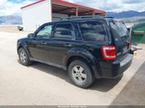 FORD ESCAPE XLT 1FMCU93G79KC20599 снимка