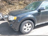 FORD ESCAPE XLT 1FMCU9DGXAKD25432 снимка