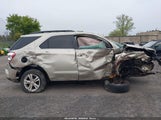 CHEVROLET EQUINOX 1LT 2GNFLEE34D6188916 снимка
