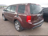 HONDA PILOT EX-L 5FNYF3H59CB040568 fotografie