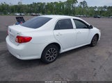 TOYOTA COROLLA LE 1NXBU40E09Z126070 снимка