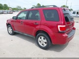 FORD ESCAPE XLT 1FMCU0D76BKA74180 снимка