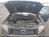 HONDA RIDGELINE RTS 2HJYK16446H558303 снимка