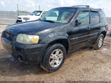 FORD ESCAPE LIMITED 1FMYU04155KE48512 снимка