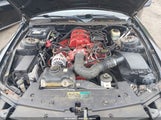 FORD MUSTANG V6 DELUXE/V6 PREMIUM 1ZVFT80N255229296 fotografie