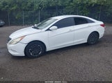 HYUNDAI SONATA GLS 5NPEB4AC7CH376749 снимка