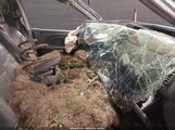 HONDA PILOT EX-L 5FNYF18635B056717 снимка