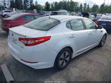 KIA OPTIMA HYBRID EX KNAGM4AD9C5011658 снимка