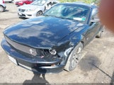 FORD MUSTANG GT DELUXE/GT PREMIUM 1ZVFT82H075309397 fotografie