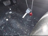 Miniaturka zdjęcia 11
