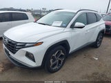 HYUNDAI TUCSON SEL 5NMJF3DE9RH439799 снимка